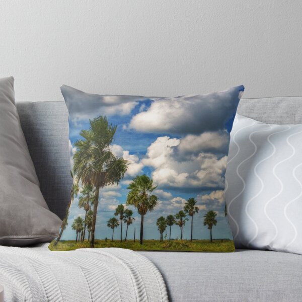 Item preview, amazon prairie designed and sold by Kenny Holt.
