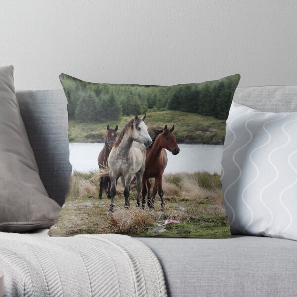 Connemara Ponies in the wild in Connemara, Ireland Throw Pillow
