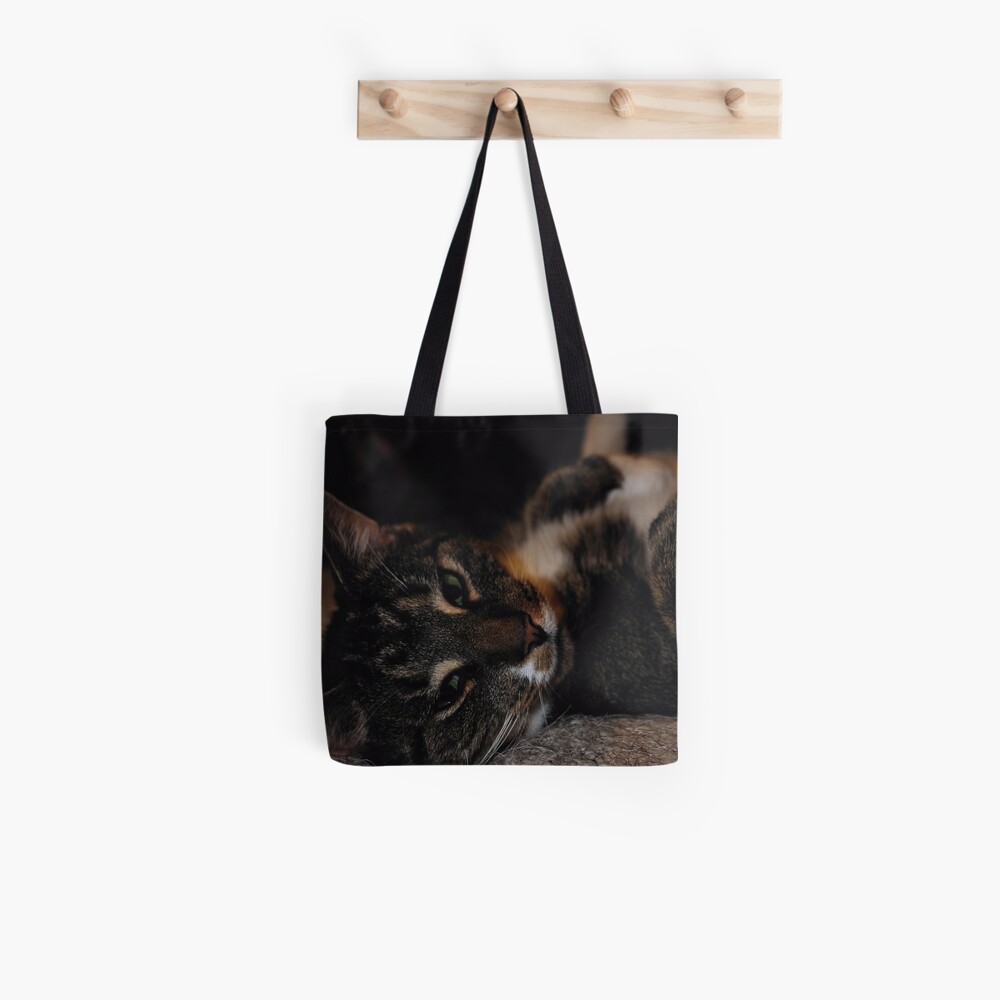 Mr Dribbles Plays Coy Tote Bag
