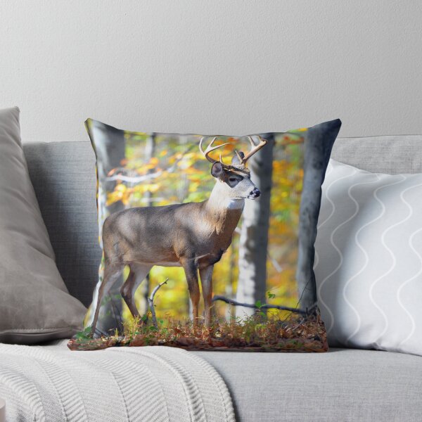 Item preview, Wildlife in the Backyard designed and sold by MacroXscape.