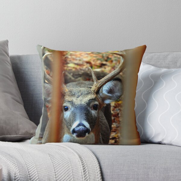 Knock at Window Throw Pillow