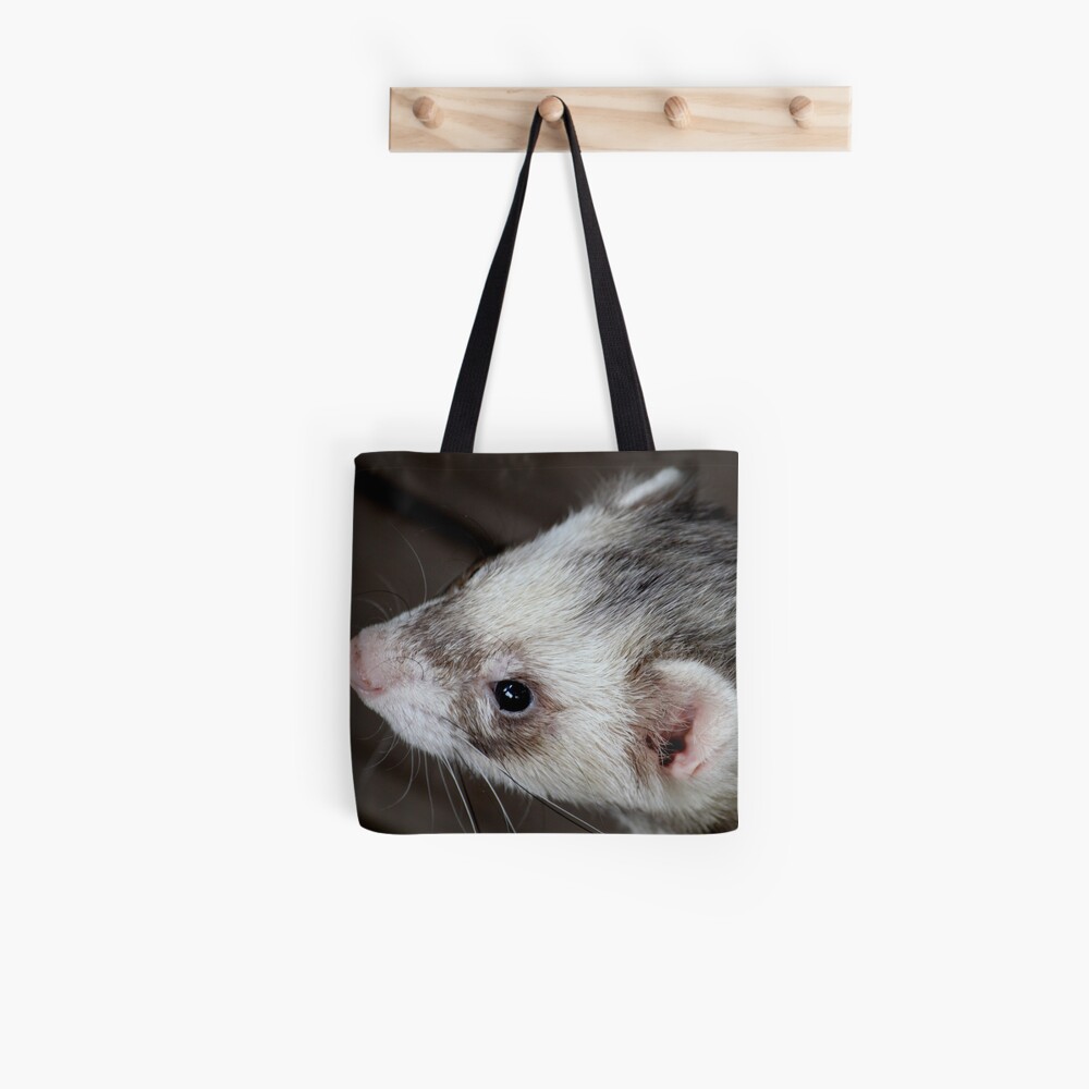 ferret bag