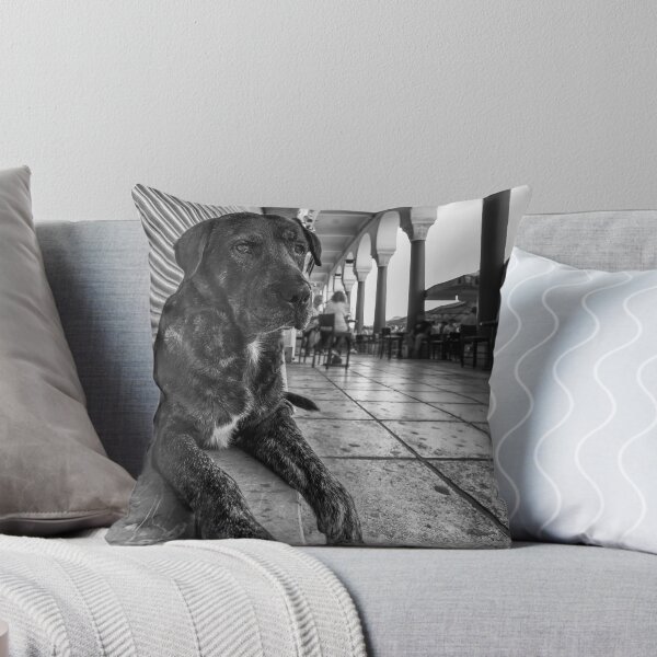 Item preview, A cute stray dog relaxing designed and sold by Antonis Lemonakis.