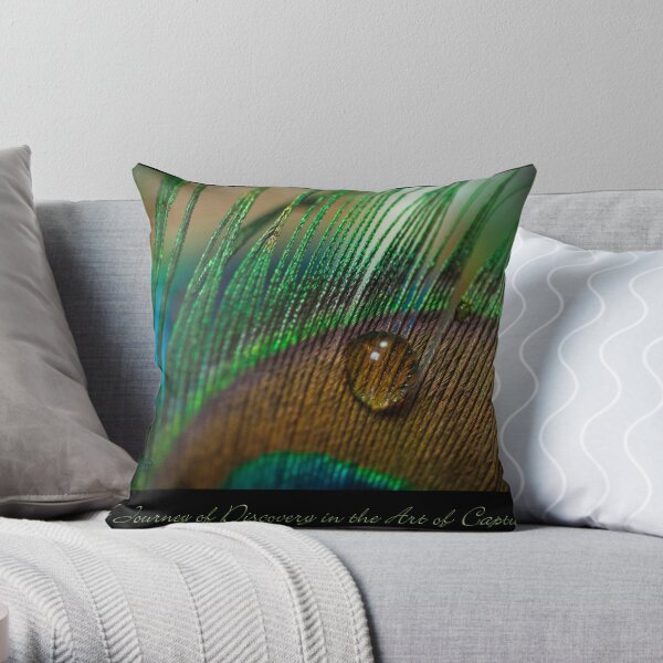 Journey of Discovery Throw Pillow