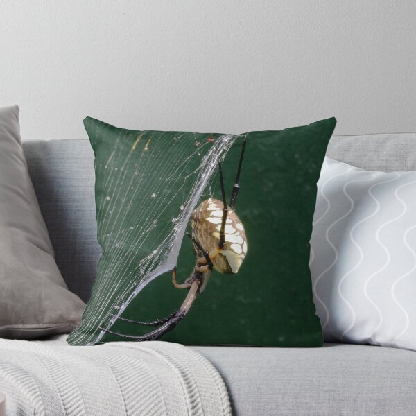 Artikelvorschau, Black & Yellow Argiope entworfen und verkauft von Jeff VanDyke.