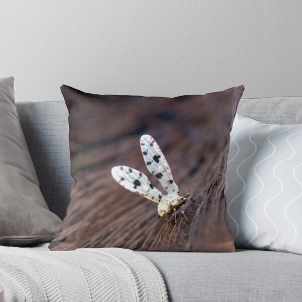 Item preview, Spotted Snow-drop, Derbid Plant Hopper designed and sold by Carla Wick/Jandelle Petters.