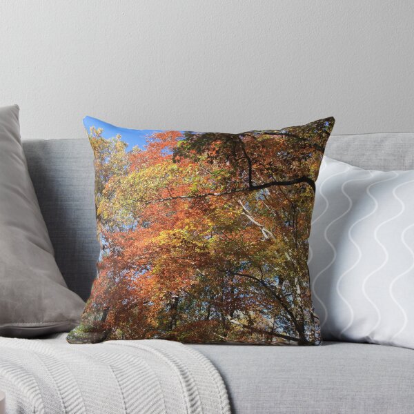 Item preview, Autumn Trees designed and sold by Frank Romeo.