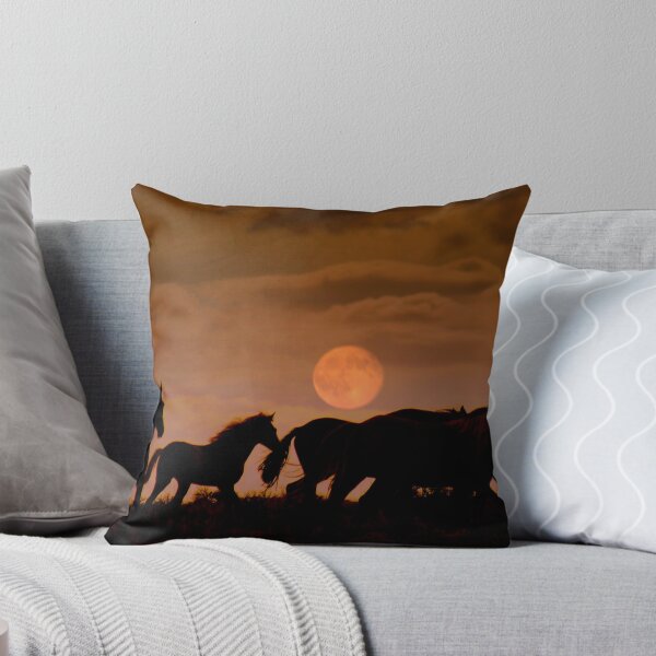 Miles To Go  Throw Pillow