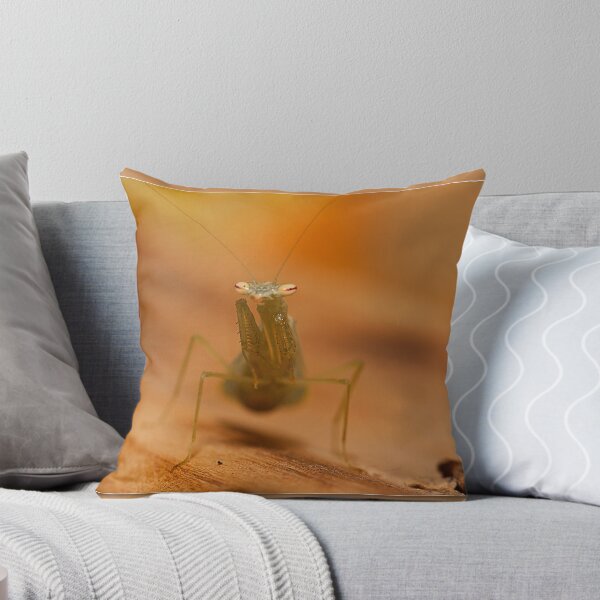 Item preview, baby mantis designed and sold by kevin Chippindall.