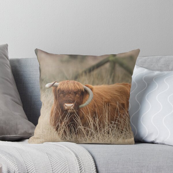 Item preview, Highland Cattle designed and sold by Richard Bond.