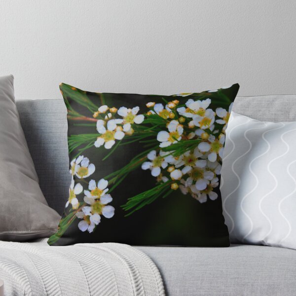 Item preview, Baeckea frutescens designed and sold by andrachne.