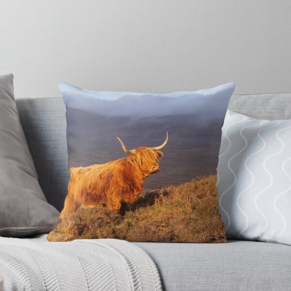 Artikelvorschau, Schottland
Canon EOS 50D
Aufrufe: 326 Stand 18. April entworfen und verkauft von naturalnomad.