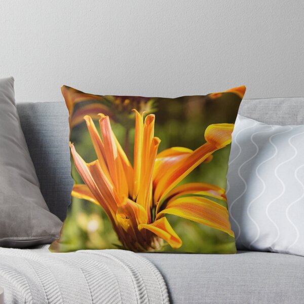 Item preview, Daisy designed and sold by Anna Calvert.