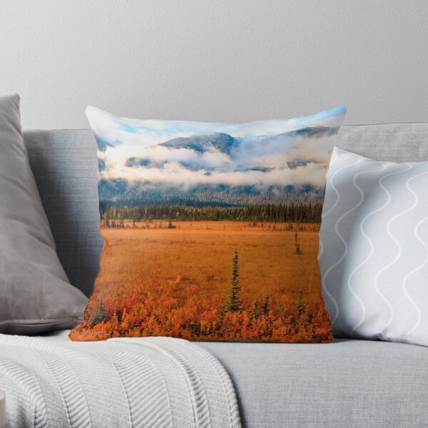 Jasper Outbound Throw Pillow
