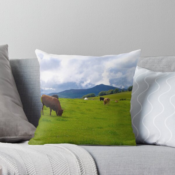 Item preview, Beef Cattle Grazing designed and sold by R John Hughes.
