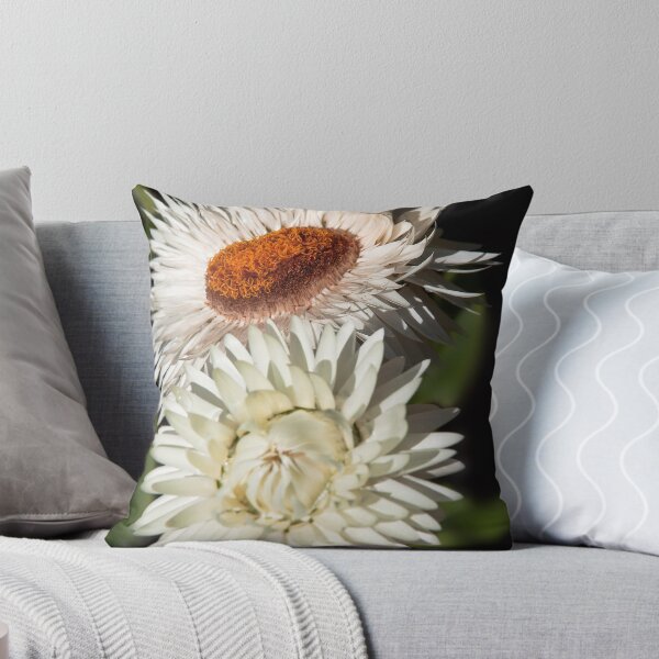 Item preview, "Paper Daisies" designed and sold by Heather Thorning.