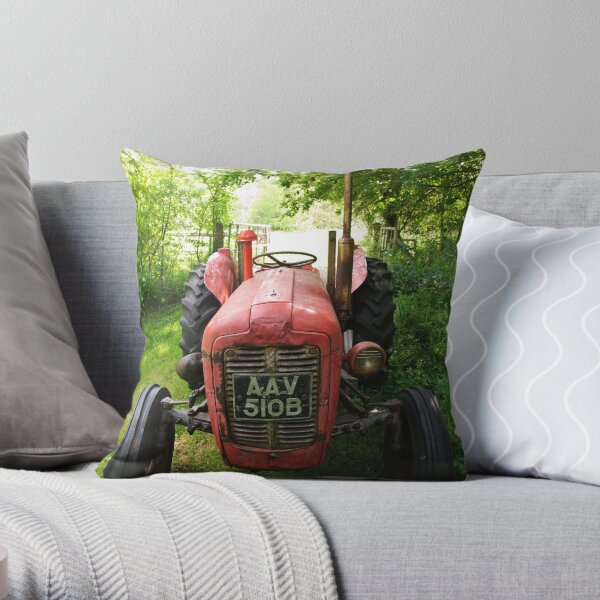 Old Fergie in the shade Throw Pillow