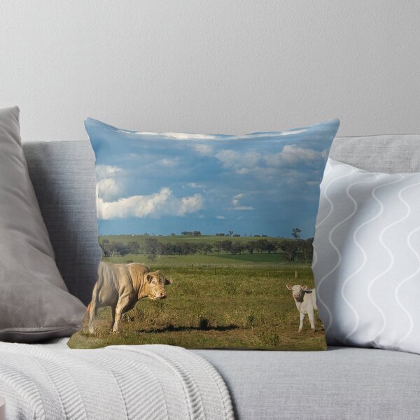 Item preview, Postcard from Cootamundra designed and sold by Rosalie Dale.