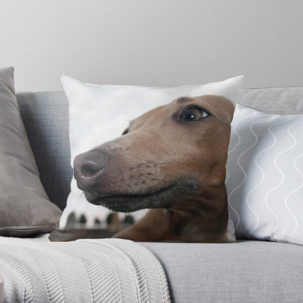 Italian Greyhound Throw Pillow