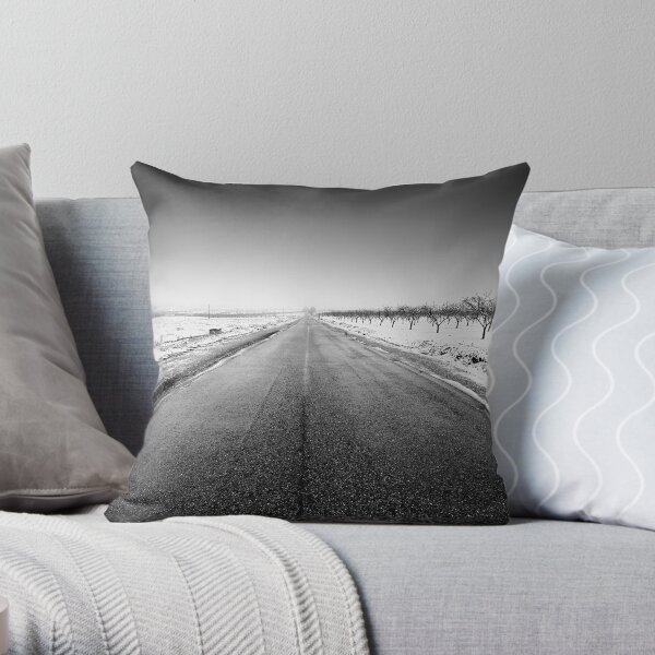 long road Throw Pillow