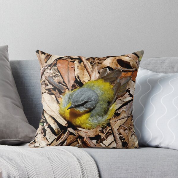 Item preview, Eastern Yellow Robin - Sunbake on the Forests Floor designed and sold by Normf.