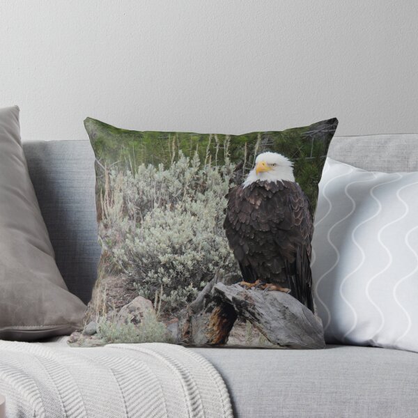 Item preview, Bald Eagle in Yellowstone NP designed and sold by Rob Lavoie.