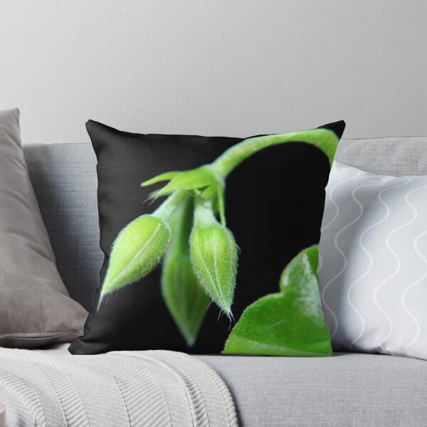 Item preview, Flower Pod designed and sold by carlosporto.