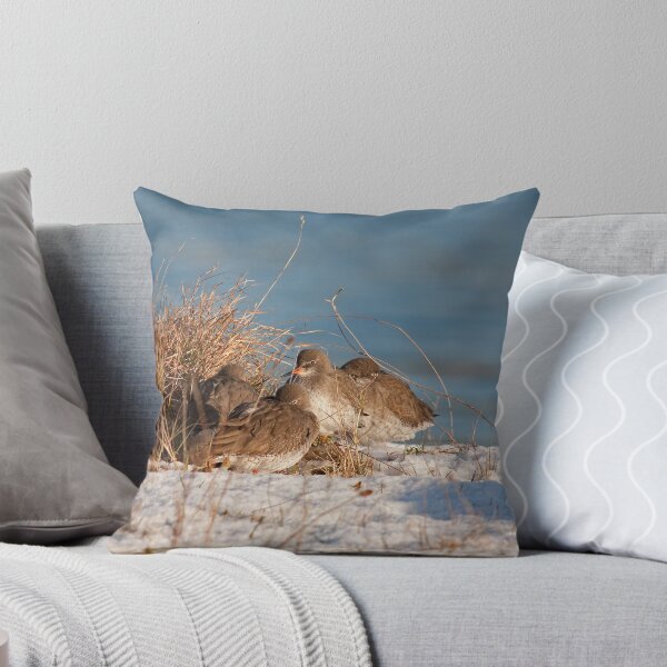 Item preview, Winter Redshanks designed and sold by Jon Lees.