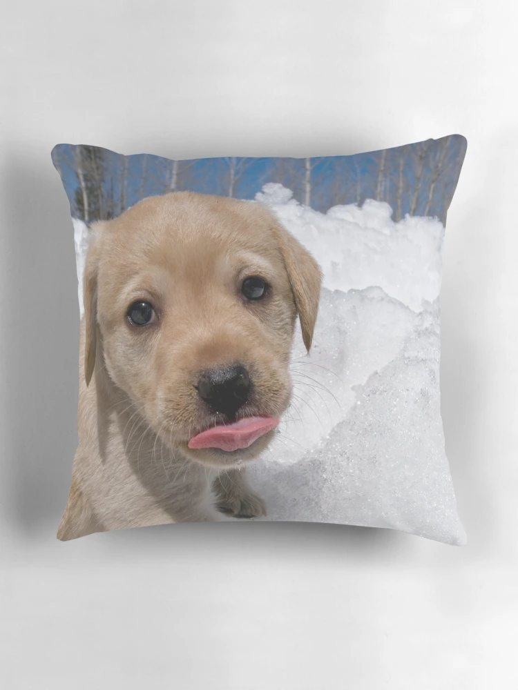 Aperçu 3 sur 4. Coussin avec l'œuvre Full On Raspberry créée et vendue par Bill Maynard.