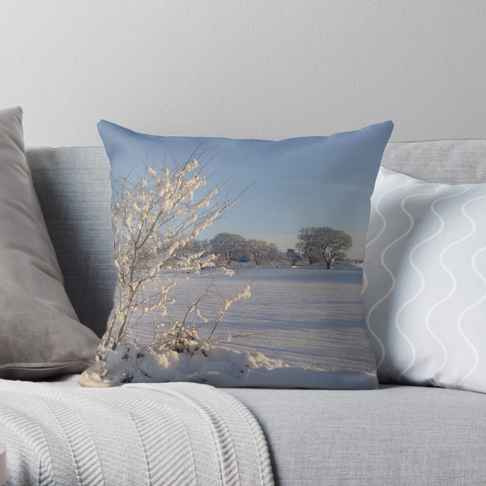 Winter Scene Dalmeny Throw Pillow