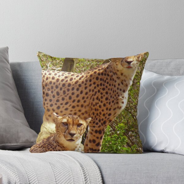 Item preview, "Mystic Kitties"  designed and sold by Robert Burdick.