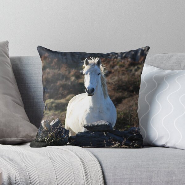 Draíocht - Magic Throw Pillow