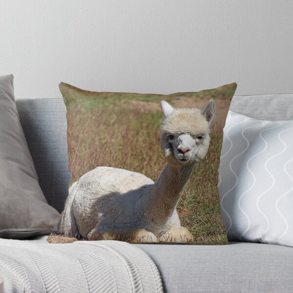 Item preview, Wanna Snuggle designed and sold by RebeccaBlackman.