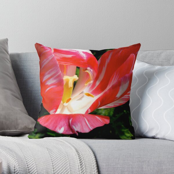 The Experience of Red Throw Pillow