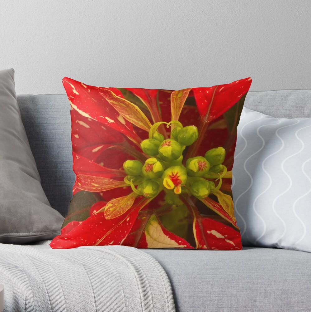 Poinsettia Holiday Greetings Throw Pillow