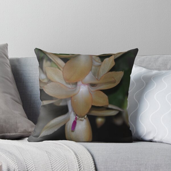 Item preview, XMAS CACTUS designed and sold by talindsey.