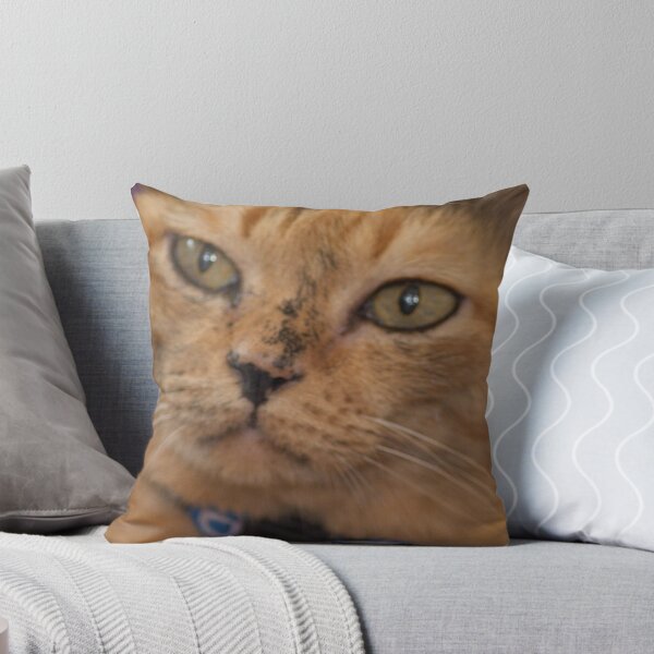 Item preview, Ms Gato wondering...Got 2 Featured Works designed and sold by Kornrawiee.