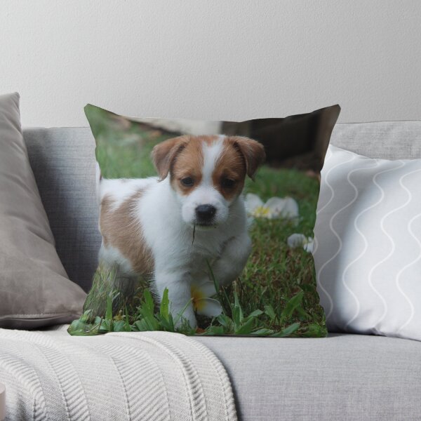 Flash Throw Pillow