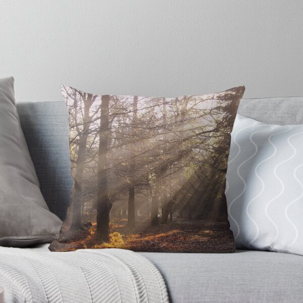 Aperçu de l'œuvre Morning Sunrays créée et vendue par Sally J Hunter.