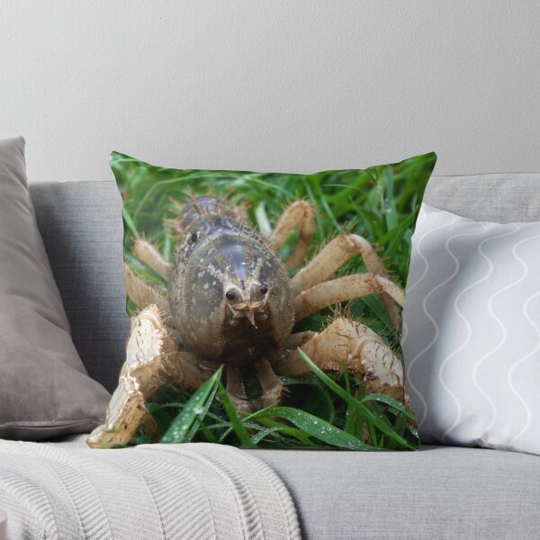 Item preview, Hi I'm Spike: Burrowing Crayfish (Engaeus hemicirratulus)  designed and sold by Travis Easton.