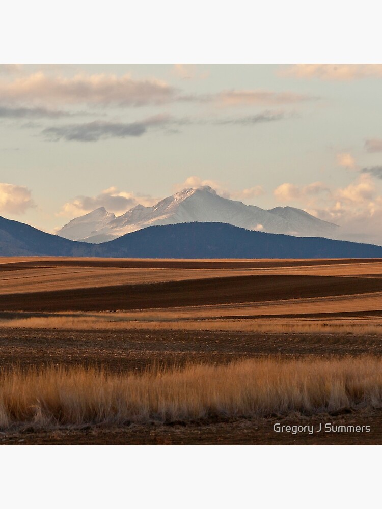 Wheat Fields and Longs Peak by nikongreg