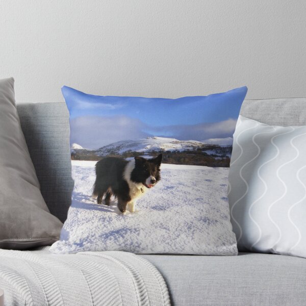 Item preview, Snow indy designed and sold by Michael Haslam.