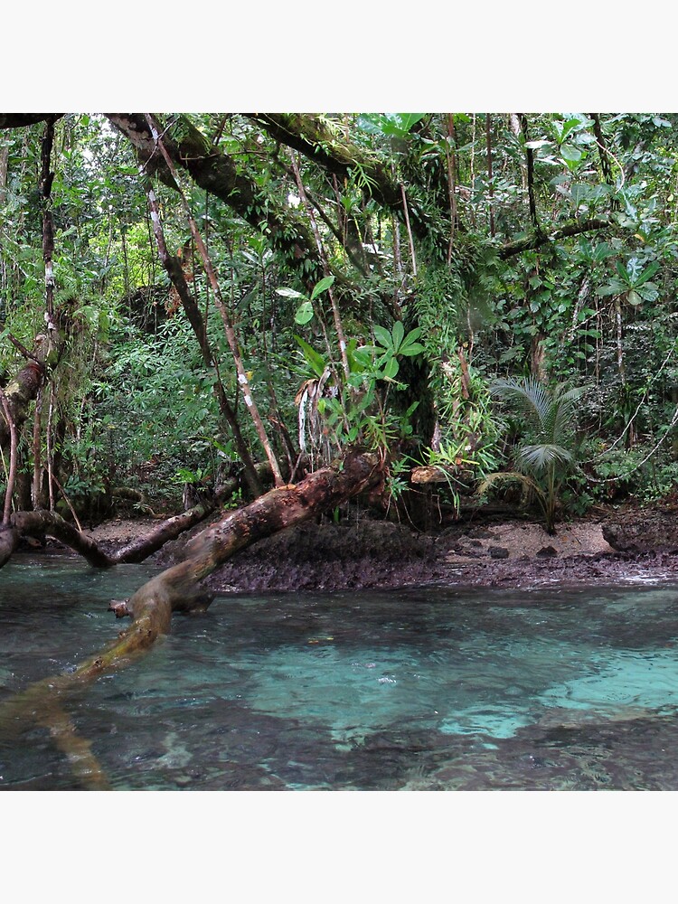 Jungle Shoreline III by neoniphon