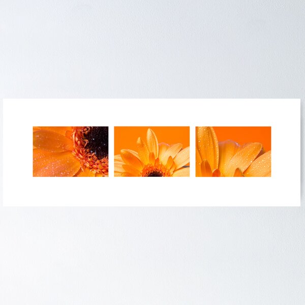 Item preview, Orange Gerberas designed and sold by Melanie Conroy.