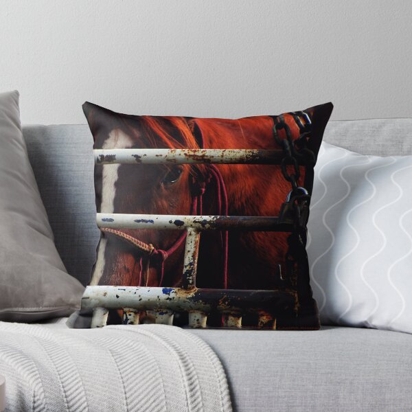 rodeo home cushions
