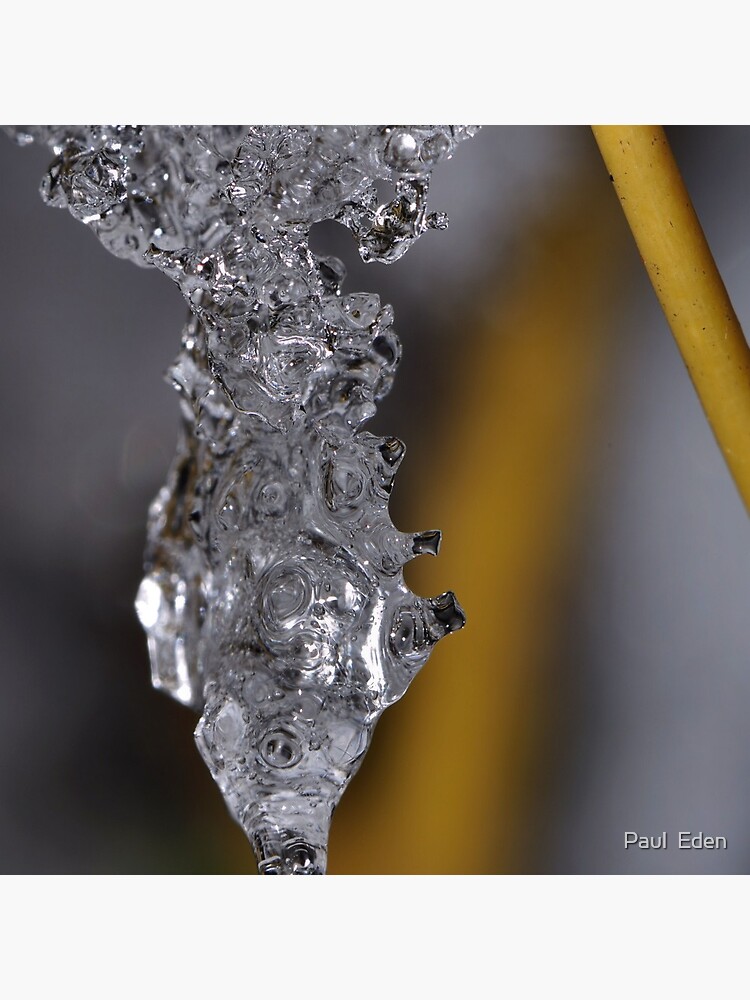 Ice Chrysalis by pauleden