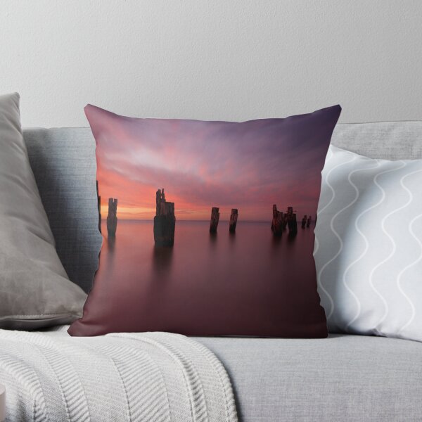 Air, Earth, Water, Fire Throw Pillow