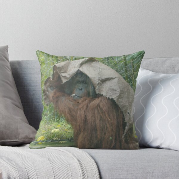 Item preview, Bruno designed and sold by Steve Hunter.