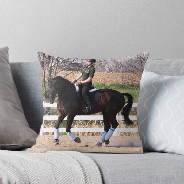 Item preview, Training designed and sold by Karen  Rubeiz.