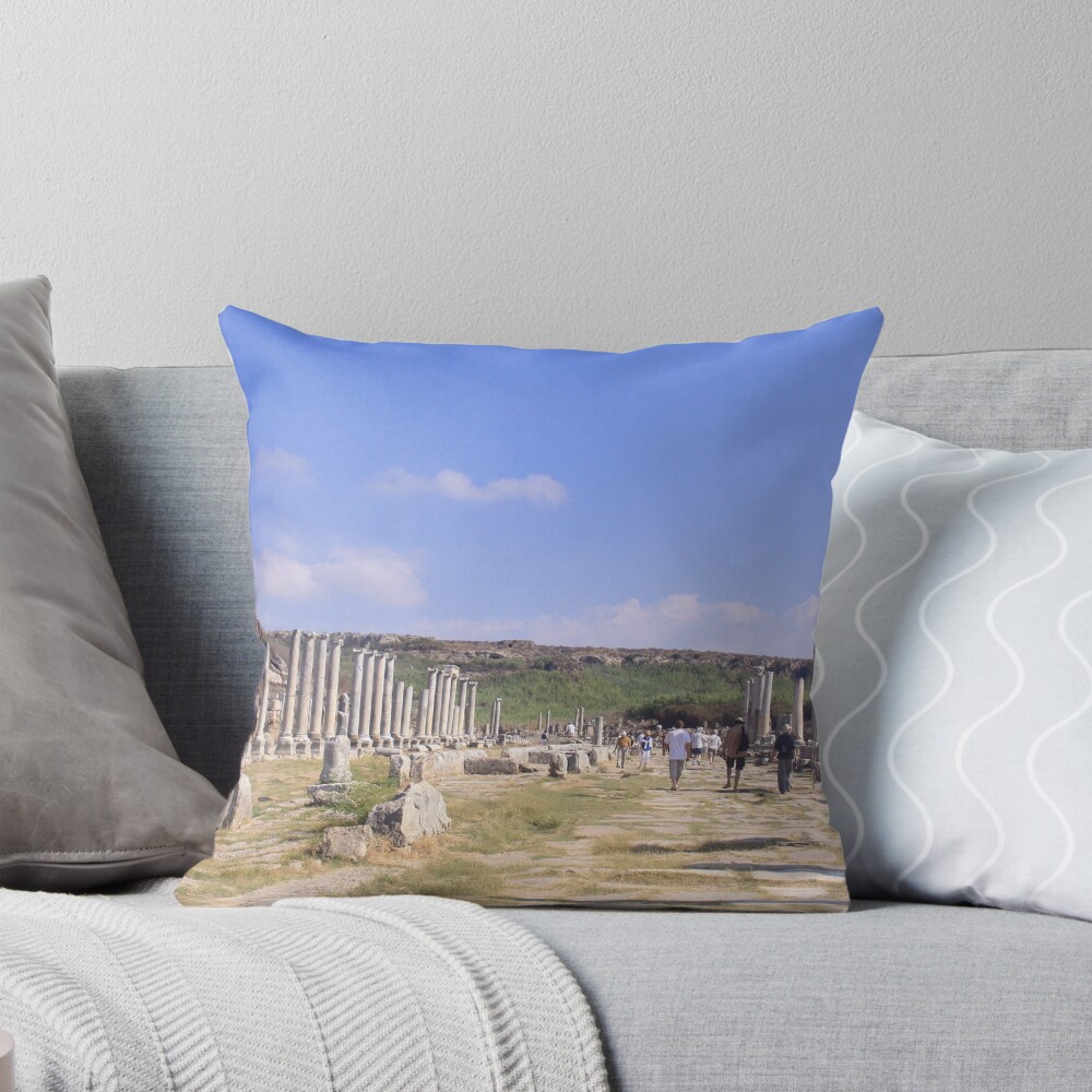 Item preview, Throw Pillow designed and sold by smallan.
